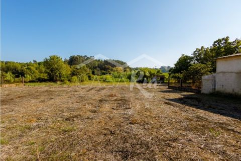 Villa i Anadia, Aveiro, Anadia - € 180.000 | Ref: CRBL1005 - foto 10