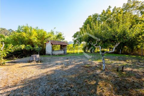 Villa i Anadia, Aveiro, Anadia - € 180.000 | Ref: CRBL1005 - foto 11