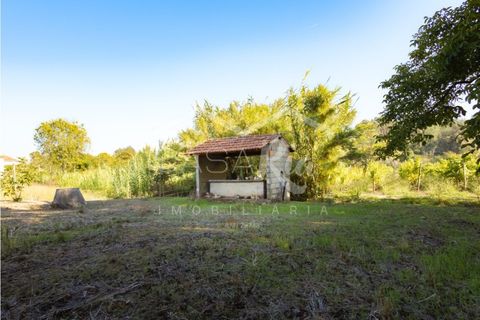 Villa i Anadia, Aveiro, Anadia - € 180.000 | Ref: CRBL1005 - foto 12