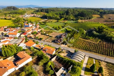 Villa i Anadia, Aveiro, Anadia - € 180.000 | Ref: CRBL1005 - foto 13
