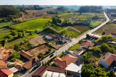 Villa i Anadia, Aveiro, Anadia - € 180.000 | Ref: CRBL1005 - foto 14