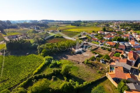 Villa i Anadia, Aveiro, Anadia - € 180.000 | Ref: CRBL1005 - foto 15