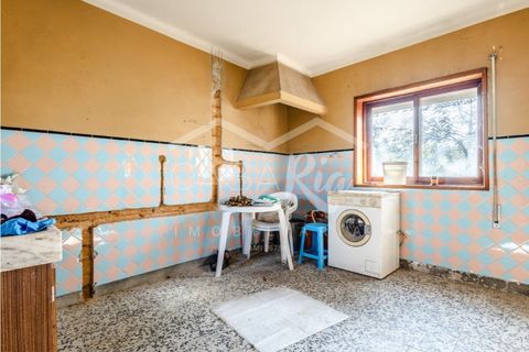 Villa i Anadia, Aveiro, Anadia - € 180.000 | Ref: CRBL1005 - foto 19