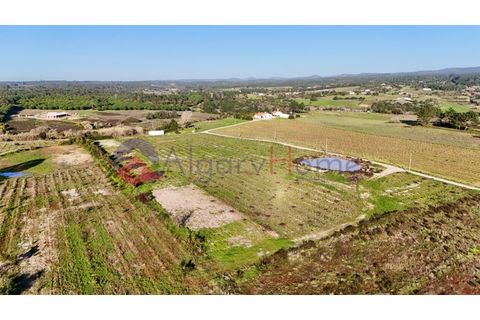 Tomt i Rogil, Faro, Rogil - € 250 000 | Ref: SÒL_367 - foto 4