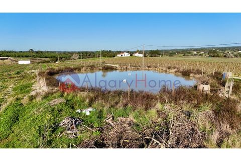Tomt i Rogil, Faro, Rogil - € 250 000 | Ref: SÒL_367 - foto 5