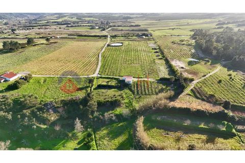 Tomt i Rogil, Faro, Rogil - € 250 000 | Ref: SÒL_367 - foto 7