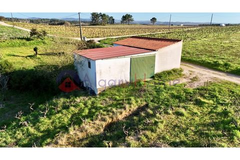 Tomt i Rogil, Faro, Rogil - € 250 000 | Ref: SÒL_367 - foto 8