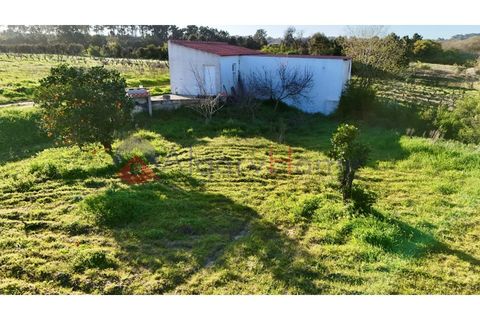 Tomt i Rogil, Faro, Rogil - € 250 000 | Ref: SÒL_367 - foto 11