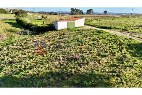 Tomt i Rogil, Faro, Rogil - € 250 000 | Ref: SÒL_367 - foto 13