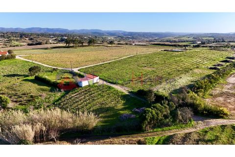 Tomt i Rogil, Faro, Rogil - € 250 000 | Ref: SÒL_367 - foto 14