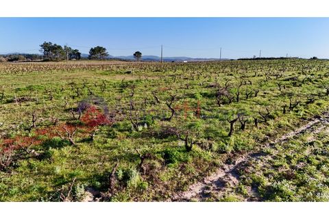 Tomt i Rogil, Faro, Rogil - € 250 000 | Ref: SÒL_367 - foto 17