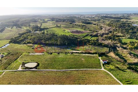 Tomt i Rogil, Faro, Rogil - € 250 000 | Ref: SÒL_367 - foto 18