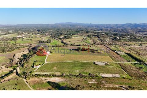 Tomt i Rogil, Faro, Rogil - € 250 000 | Ref: SÒL_367 - foto 19