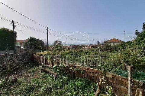 Villa i Areosa, Viana do Castelo, Areosa - € 230.000 | Ref: R5490 - foto 2
