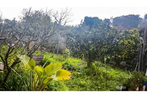 Villa i Areosa, Viana do Castelo, Areosa - € 235.000 | Ref: VCC14688 - foto 5