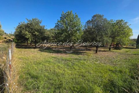 Terra a Tavernes, Var, Tavernes - € 135.000 | Ref: 1685 - foto 2