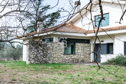 Villa a Vetralla, Viterbo, Vetralla - € 545.000 | Ref: CBI006-11-333059 - foto 2