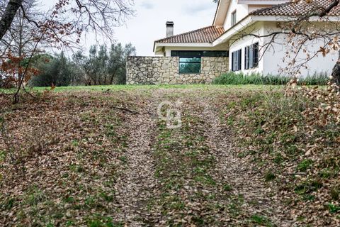 Villa a Vetralla, Viterbo, Vetralla - € 545.000 | Ref: CBI006-11-333059 - foto 3