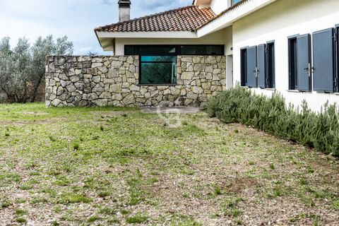 Villa a Vetralla, Viterbo, Vetralla - € 545.000 | Ref: CBI006-11-333059 - foto 7