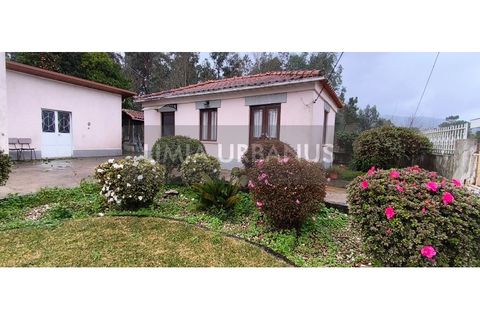 Villa i Ponte de Lima, Viana do Castelo, Ponte de Lima - € 295.000 | Ref: CAS_1127 - foto 8
