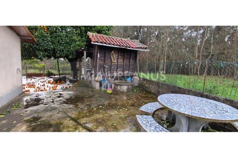 Villa i Ponte de Lima, Viana do Castelo, Ponte de Lima - € 295.000 | Ref: CAS_1127 - foto 41