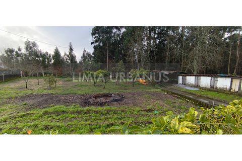 Villa i Ponte de Lima, Viana do Castelo, Ponte de Lima - € 295.000 | Ref: CAS_1127 - foto 44