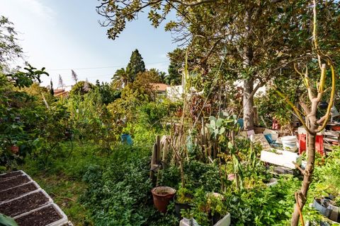 Villa i Caniço, Madeira, Caniço - € 1.150.000 | Ref: CAS_1095 - foto 35