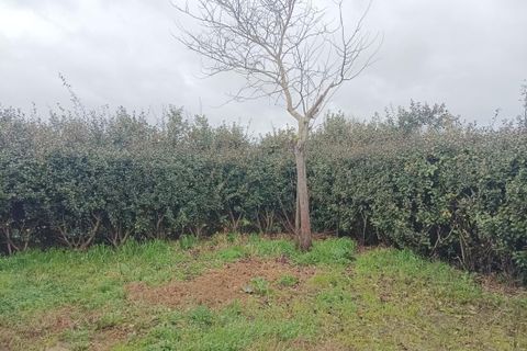 Bungalow i Montech, Tarn-et-Garonne, Montech - € 159.000 | Ref: VTEHLM-BL-MONTECH_11 - foto 10