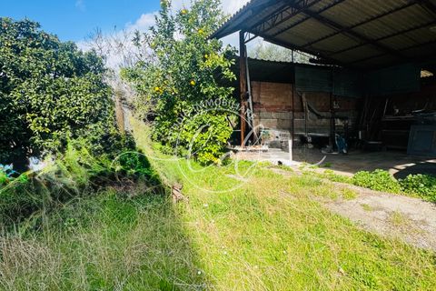 Byhus i Seravezza, Lucca, Seravezza - € 450.000 | Ref: 2696 - foto 9