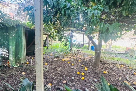 Byhus i Seravezza, Lucca, Seravezza - € 450.000 | Ref: 2696 - foto 21