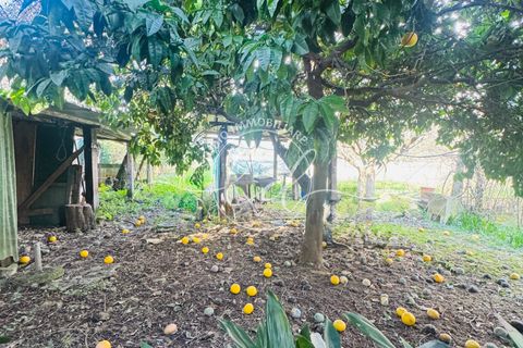 Byhus i Seravezza, Lucca, Seravezza - € 450.000 | Ref: 2696 - foto 22