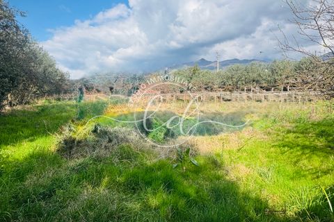 Byhus i Seravezza, Lucca, Seravezza - € 450.000 | Ref: 2696 - foto 23