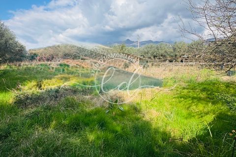 Byhus i Seravezza, Lucca, Seravezza - € 450.000 | Ref: 2696 - foto 24