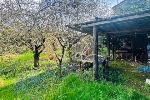 Byhus i Seravezza, Lucca, Seravezza - € 450.000 | Ref: 2696 - foto 25