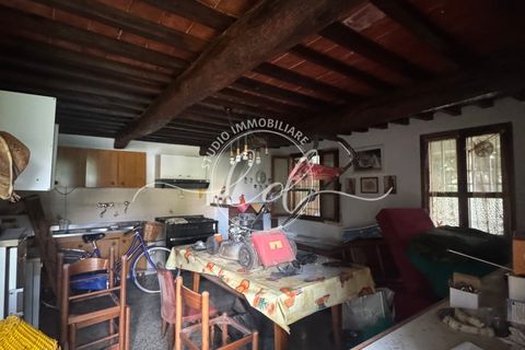Byhus i Seravezza, Lucca, Seravezza - € 450.000 | Ref: 2696 - foto 30