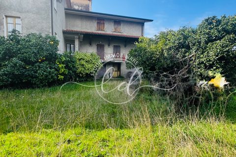 Byhus i Seravezza, Lucca, Seravezza - € 450.000 | Ref: 2696 - foto 33