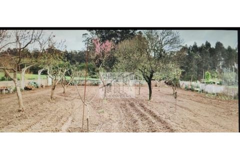 Villa i Lavra, Porto, Lavra - € 1.300.000 | Ref: CAS_245 - foto 46