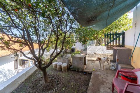Villa i Mertola, Beja, Mertola - € 240.000 | Ref: KWPT-027887 - foto 17