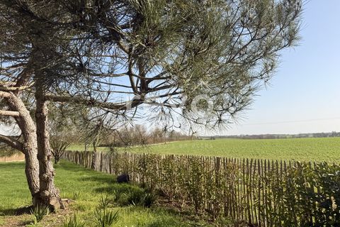 Villa i Les Brouzils, Vendee, Les Brouzils - € 353.600 | Ref: 4901051461 - foto 2
