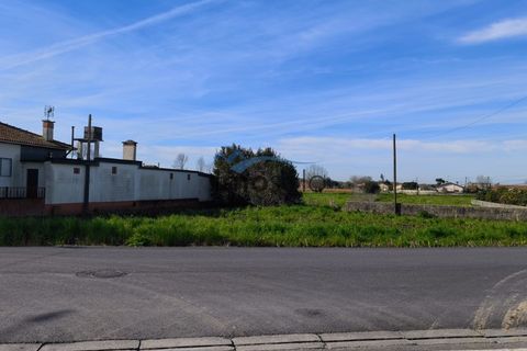 Helårsgrund i Murtosa, Aveiro, Murtosa - € 45.000 | Ref: 154 - foto 1