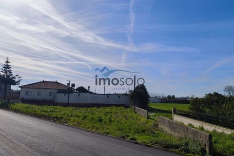 Helårsgrund i Murtosa, Aveiro, Murtosa - € 45.000 | Ref: 154 - foto 2