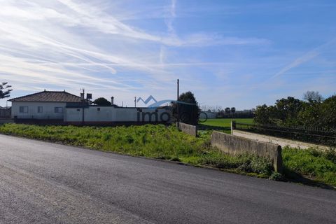 Helårsgrund i Murtosa, Aveiro, Murtosa - € 45.000 | Ref: 154 - foto 3