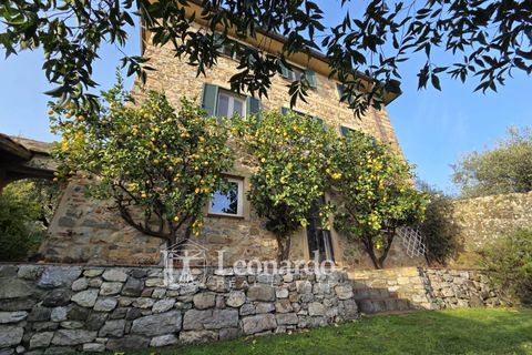 Villa a Massarosa, Lucca, Massarosa - € 750.000 | Ref: REA514 - foto 2