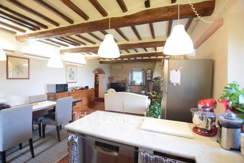 Villa a Massarosa, Lucca, Massarosa - € 750.000 | Ref: REA514 - foto 6