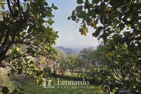 Villa a Massarosa, Lucca, Massarosa - € 750.000 | Ref: REA514 - foto 9