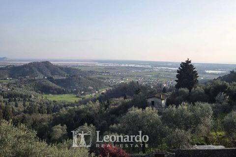 Villa a Massarosa, Lucca, Massarosa - € 750.000 | Ref: REA514 - foto 18