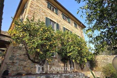 Villa a Massarosa, Lucca, Massarosa - € 750.000 | Ref: REA514 - foto 39