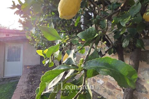 Villa a Massarosa, Lucca, Massarosa - € 750.000 | Ref: REA514 - foto 43