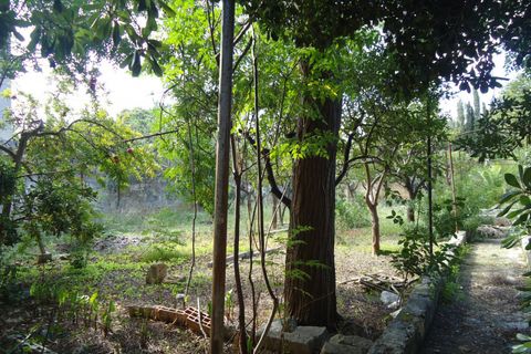Terra a Casarano, Lecce, Casarano - € 120.000 | Ref: CS-120 - foto 4