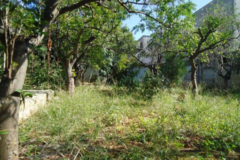 Terra a Casarano, Lecce, Casarano - € 120.000 | Ref: CS-120 - foto 5